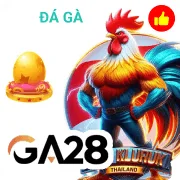 dk88 Game 08